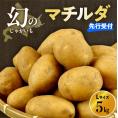 【先行受付】【2026年4月出荷分】十勝めむろ産 越冬 マチルダ Ｌサイズ5kg me010-018c-25