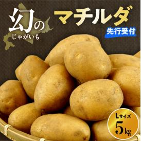 【先行受付】【2026年4月出荷分】十勝めむろ産 越冬 マチルダ Ｌサイズ5kg me010-018c-25