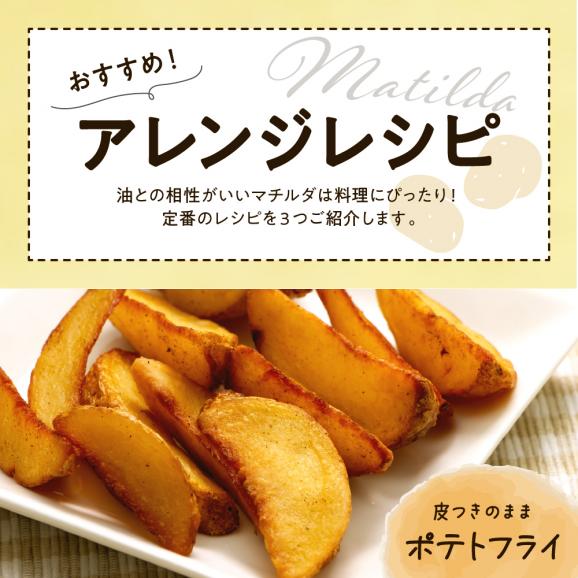 【先行受付】【2026年4月出荷分】十勝めむろ産 越冬 マチルダ Ｌサイズ5kg me010-018c-2504