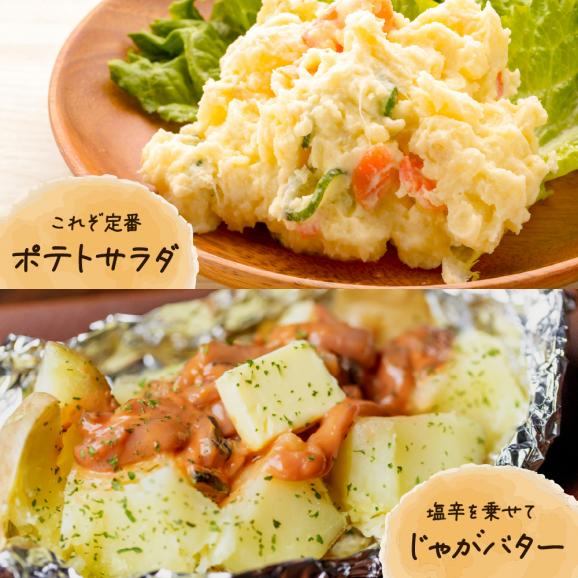 【先行受付】【2026年4月出荷分】十勝めむろ産 越冬 マチルダ Ｌサイズ5kg me010-018c-2505