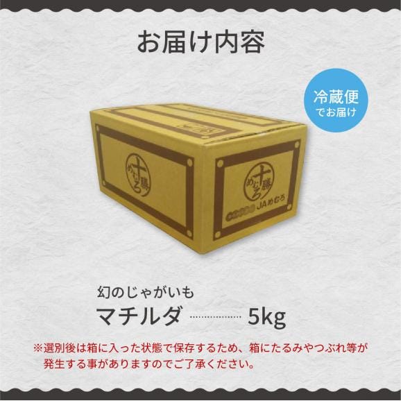 【先行受付】【2026年4月出荷分】十勝めむろ産 越冬 マチルダ Ｌサイズ5kg me010-018c-2506
