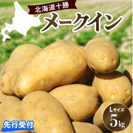【先行受付】【2025年10月出荷分】北海道芽室町 十勝めむろ産「めむろメークイン」Ｌサイズ5kg me010-019c-25