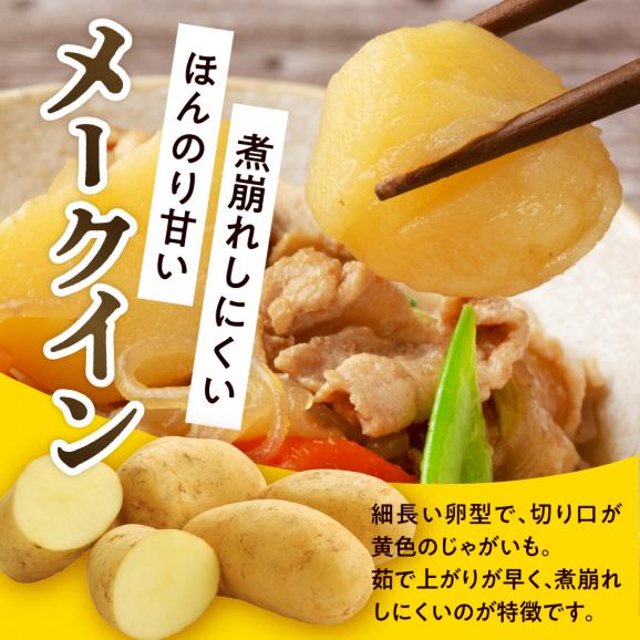 【先行受付】【2025年10月出荷分】北海道芽室町 十勝めむろ産「めむろメークイン」Ｌサイズ5kg me010-019c-2502