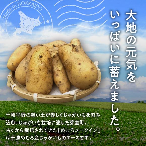 【先行受付】【2025年10月出荷分】北海道芽室町 十勝めむろ産「めむろメークイン」Ｌサイズ5kg me010-019c-2503