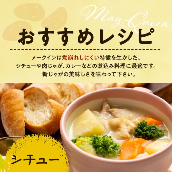 【先行受付】【2025年10月出荷分】北海道芽室町 十勝めむろ産「めむろメークイン」Ｌサイズ5kg me010-019c-2504