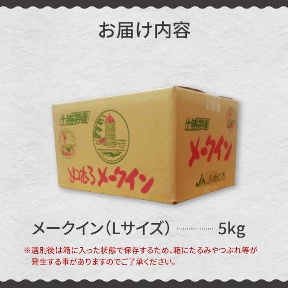 【先行受付】【2025年10月出荷分】北海道芽室町 十勝めむろ産「めむろメークイン」Ｌサイズ5kg me010-019c-2506