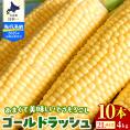 【2025年分先行予約】北海道十勝芽室町 とうもろこし ゴールドラッシュ 2Lサイズ 10本セット me078-003c-25