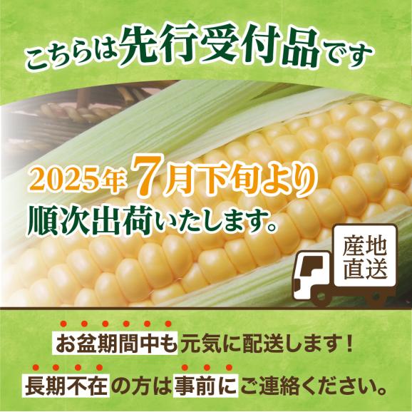 【2025年分先行予約】北海道十勝芽室町 とうもろこし ゴールドラッシュ 2Lサイズ 10本セット me078-003c-2502