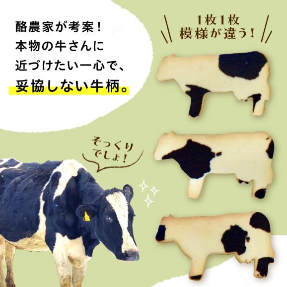 【ふるさと納税】北海道十勝芽室町 牛サブレ5頭入り 2箱 me079-002c02