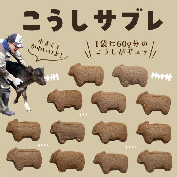 【ふるさと納税】北海道十勝芽室町 みるここ＆こうしサブレ セット me079-004c04