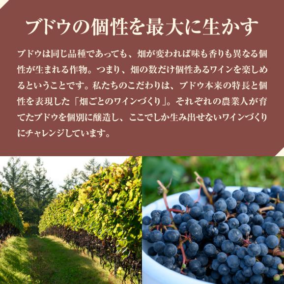 【ふるさと納税】【年３回／３か月毎に１本】北海道十勝芽室町 畑ごとのワイン定期便【清舞】　me032-058c-t304