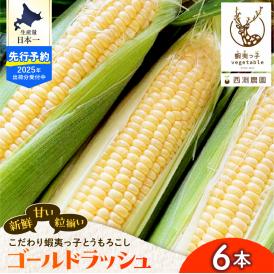 【2025年先行受付】朝採りをお届け！ 北海道十勝芽室町　蝦夷っ子とうもろこし ゴールドラッシュ 6本 me076-008c-25