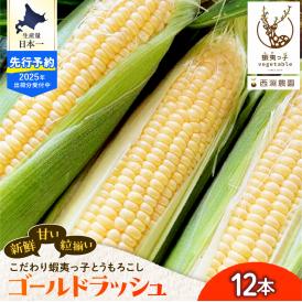 【2025年先行受付】朝採りをお届け！ 北海道十勝芽室町　蝦夷っ子とうもろこし ゴールドラッシュ 12本 me076-009c-25