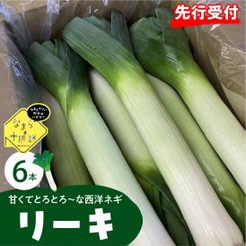 【ふるさと納税】【先行受付】【2025年11月より発送】北海道十勝芽室町　なまら十勝野の鳥本農場リーキ 6本 me001-046c