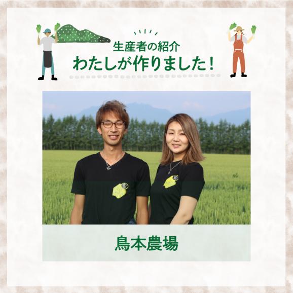【ふるさと納税】【先行受付】【2025年11月より発送】北海道十勝芽室町　なまら十勝野の鳥本農場リーキ 6本 me001-046c04