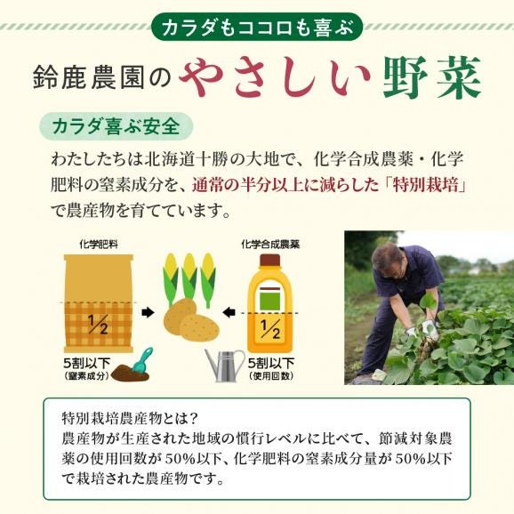 【先行受付・9月配送スタート】【年4回定期便】鈴鹿さんのおいもづくし　me000-029-k4c02