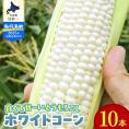 【2025年分先行予約】北海道十勝芽室町 とうもろこし ホワイトコーン 10本セット me078-004c-25