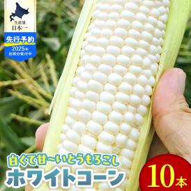 【2025年分先行予約】北海道十勝芽室町 とうもろこし ホワイトコーン 10本セット me078-004c-25