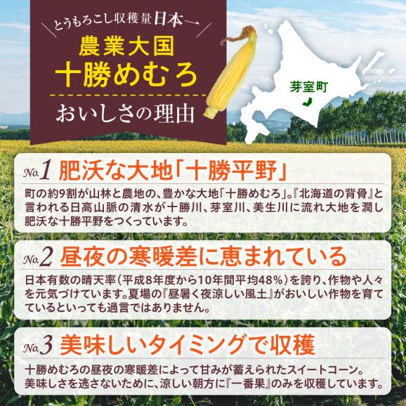 【2025年分先行予約】北海道十勝芽室町 とうもろこし ホワイトコーン 10本セット me078-004c-2503