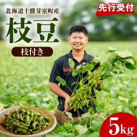 【ふるさと納税】【2026年8月より発送】産地直送！北海道十勝芽室町 枝付き枝豆 5kg me081-001c
