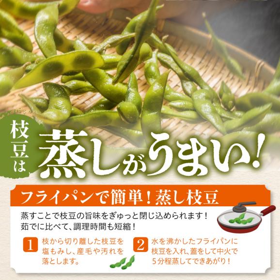 【ふるさと納税】【2026年8月より発送】産地直送！北海道十勝芽室町 枝付き枝豆 5kg me081-001c05