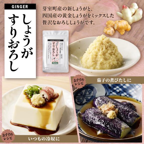 北海道十勝芽室町　簡単便利 薬味3種セット（にんにく・しょうが・わさび）各100g×3種 me011-009c03