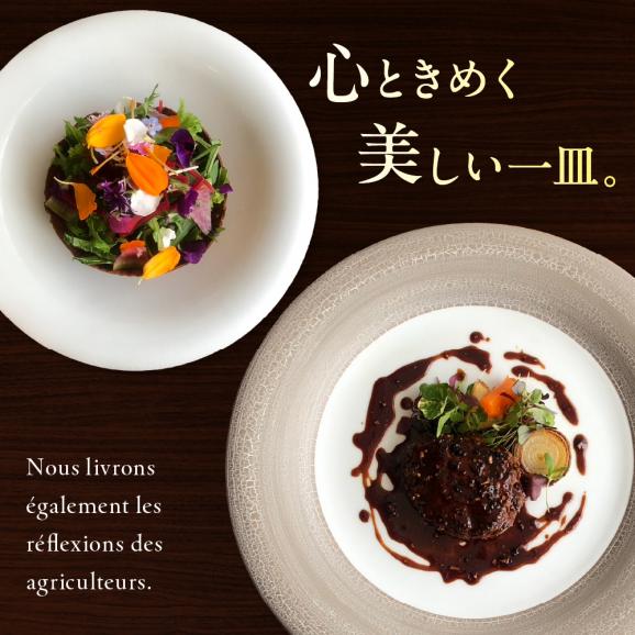 【溜池山王　フレンチ】アロゾワール 人気店で修業をした新開シェフ手掛ける「芽室町特別コース」食事券2名様分　me061-039-203