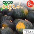【10月より配送開始】北海道十勝芽室町　自然菜園ふたば　宇佐美亮のかぼちゃ6kg　me074-004c