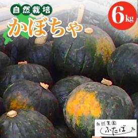 【10月より配送開始】北海道十勝芽室町　自然菜園ふたば　宇佐美亮のかぼちゃ6kg　me074-004c