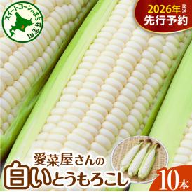 【ふるさと納税】【先行受付】【2026年7月下旬～8月中旬頃配送】北海道十勝芽室町 とうもろこし 10本 ホワイト種 me002-005c-26