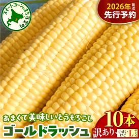 【先行受付】【2026年8月上旬～8月下旬頃配送】【訳あり】北海道十勝芽室町 とうもろこし ゴールドラッシュ Lサイズ 10本セット　me078-006c-26