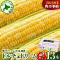【訳あり】【先行受付】【2026年7月下旬~8月上旬頃配送】北海道十勝芽室町 スイートコーン ドルチェドリーム 13本 me062-003c-26