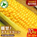 【先行受付】【2026年8月上旬〜8月中旬頃発送】北海道十勝芽室町 ファームミリオンの極甘スイートコーン 10kg me016-017c-26
