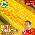 【先行受付】【2026年8月上旬〜8月中旬頃発送】北海道十勝芽室町 ファームミリオンの極甘スイートコーン 10kg me016-017c-26