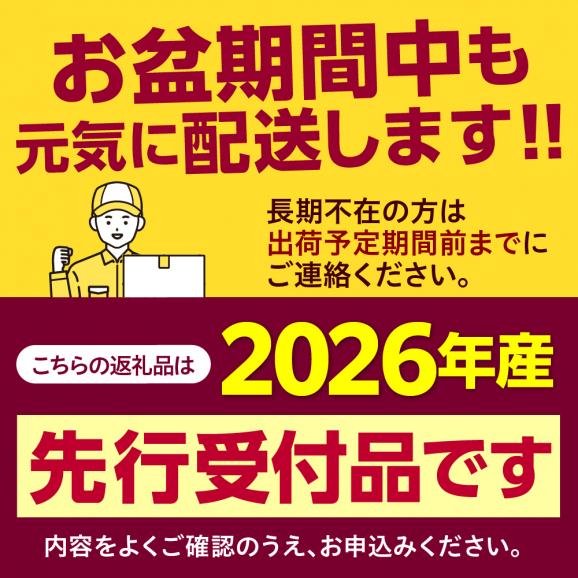 【先行受付】【2026年8月上旬〜8月中旬頃発送】北海道十勝芽室町 ファームミリオンの極甘スイートコーン 10kg me016-017c-2602