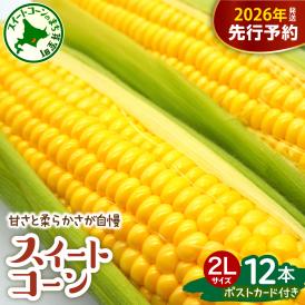 【先行受付】【2026年7月下旬～8月下旬頃配送】北海道十勝芽室町 上美生のたからばこ とうもろこしゴールドラッシュ ２Lサイズ以上12本ポストカード セット me029-001c-26