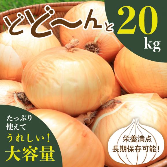 【ふるさと納税】【2026年産先行受付】【10月上旬より発送】北海道十勝めむろ産　たまねぎ L大サイズ 20kg me010-011c-2604