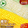 【先行受付】2026年産 北海道十勝芽室町ファーム・ミリオンの極甘スイートコーン 2色セット（イエロー・ホワイト）5kg　me016-018c