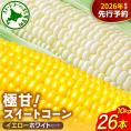 【先行受付】2026年産 北海道十勝芽室町ファーム・ミリオンの極甘スイートコーン 2色セット（イエロー・ホワイト）10kg　me016-019c