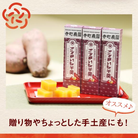 北海道十勝芽室町 さつまいも羊羹 3本 me081-002c04