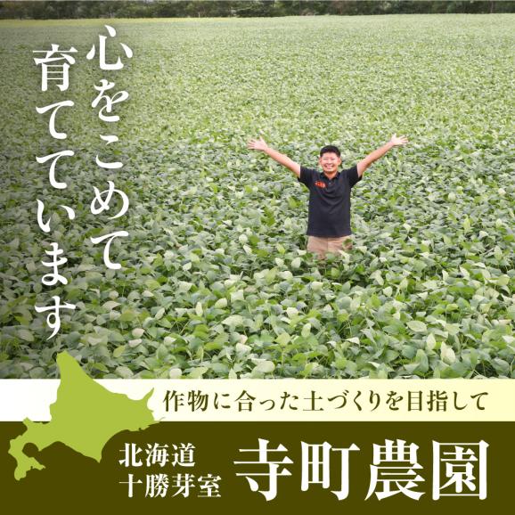 北海道十勝芽室町 さつまいも羊羹 3本 me081-002c05