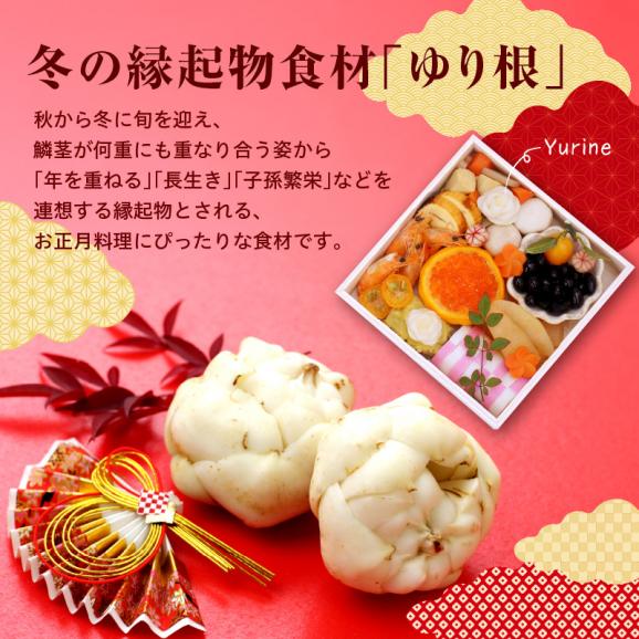 【先行予約】【2026年12月中旬より発送】北海道十勝芽室町 ゆりね 1kg（Lサイズ9玉入り1kg） me010-001c-2602