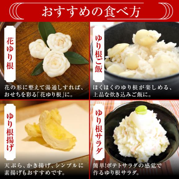 【先行予約】【2026年12月中旬より発送】北海道十勝芽室町 ゆりね 1kg（Lサイズ9玉入り1kg） me010-001c-2604