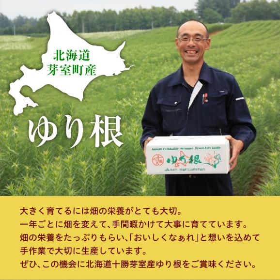 【先行予約】【2026年12月中旬より発送】北海道十勝芽室町 ゆりね 1kg（Lサイズ9玉入り1kg） me010-001c-2605
