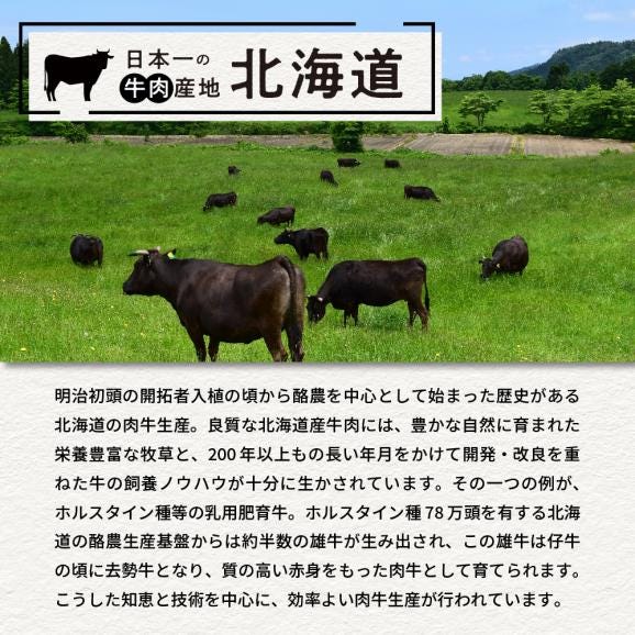 北海道十勝芽室町 あの！三國清三シェフが推奨！合挽ハンバーグ４袋セット me039-004c04