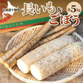 北海道十勝芽室町 ファーム・ミリオンの長芋ごぼうセット【土付き】　 10kg me016-014c