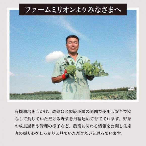 北海道十勝芽室町 ファーム・ミリオンの贅沢根菜セット（長芋・ごぼう・山わさび）【土付き】　 me016-015c05