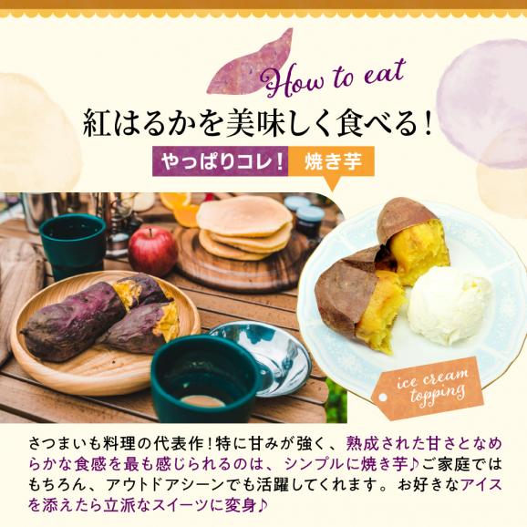 【先行受付】【2026年10月上旬より配送】北海道十勝芽室産 さつまいも （紅はるか）４㎏ me002-026-26c02
