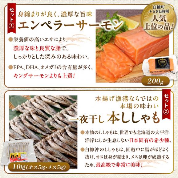 栄三郎商店海産物セット_I015-048204