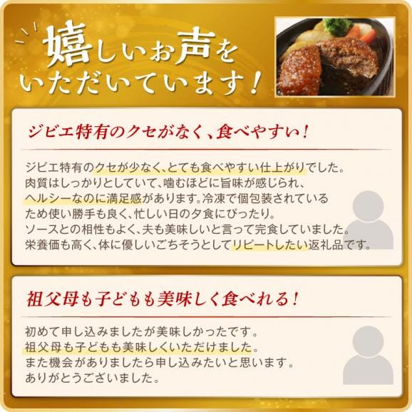 えぞ鹿肉ハンバーグ【6個（1袋2個&times;3袋）】_I018-042302